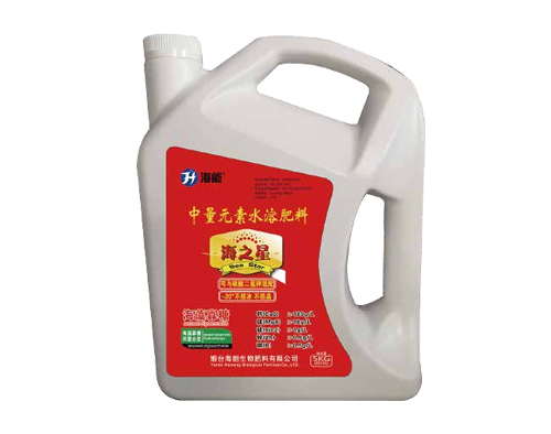 河北蜜桃综合视频在线观看海之星