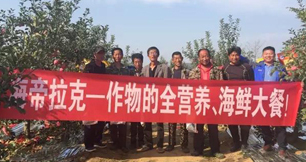 蘋果樹12月管理技術要點！抓緊時間看